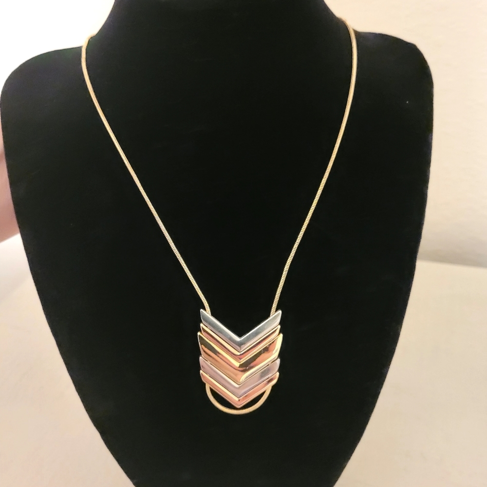 Express Long Gold & Silver Fashion Necklace